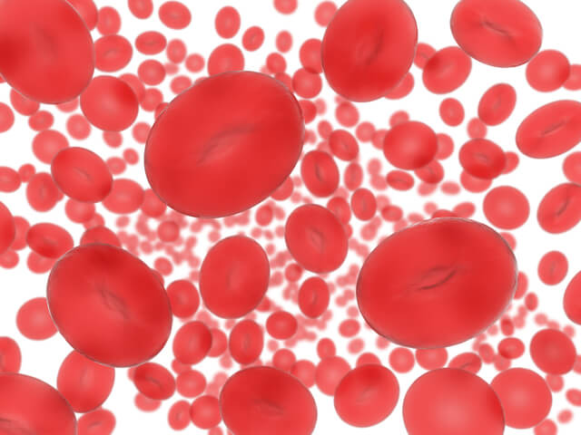 造血幹細胞移植イメージ